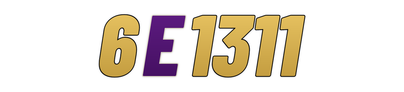 6e1311